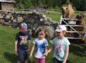 Wycieczka do Mini-Zoo w Niedźwiedziu