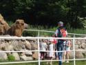 Wycieczka do Mini-Zoo w Niedźwiedziu