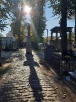Click to view album: Słoneczka na cmentarzu